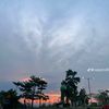 lampung_mesuji1