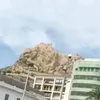 bashasejadoua