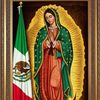 fidelcruz366
