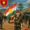 mahmod.kobani6