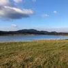 manu_vv2
