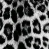 soraya_svs