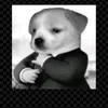 user4821614812822