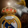 8aboc