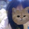 kook_kai.com