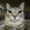ebysmal_lord
