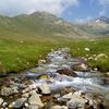 altyn_312.b