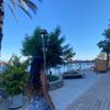 tamar_1237086