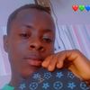 haller002