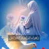 user2091236146168