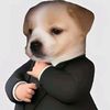 xzzhard01