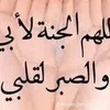 user8102135813105