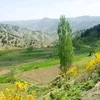 wahdat173