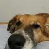 kkckdbbmuyrica