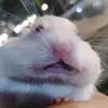 justarandomguyofc