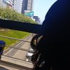 seizi_0