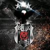 user3009435481630