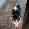 ander_10pro