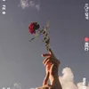 angel333x8