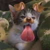 ddangwhoa_ni013