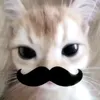 dangiuvcl212