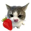 s_ebutjeruk.8