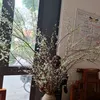 thutrang86871