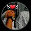 sws157