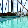 portaventura8