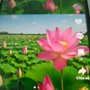 ng.luyn63