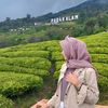 dwiintanyullia