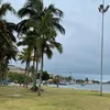 michelettiwill