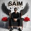 saim.ali0720