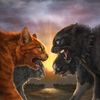 warriorcat45
