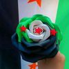 assel.almabruk