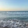 avacarr_1311113