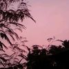 sptiaa12_
