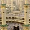 soheir.sharaf