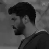 hamiduleyla