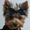 kiwi0048
