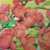 trnnhung504