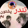 tndar123