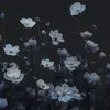 kareema241231