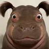 bnjiuuu