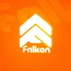 agenciafalkon