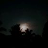 mimaa03.23