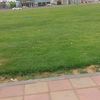 abo_talal445