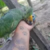 adrianacardoso381