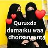 user13926516188303