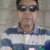 fredy8466